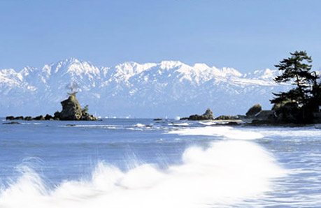 雨晴海岸 富山 組子 タニハタ