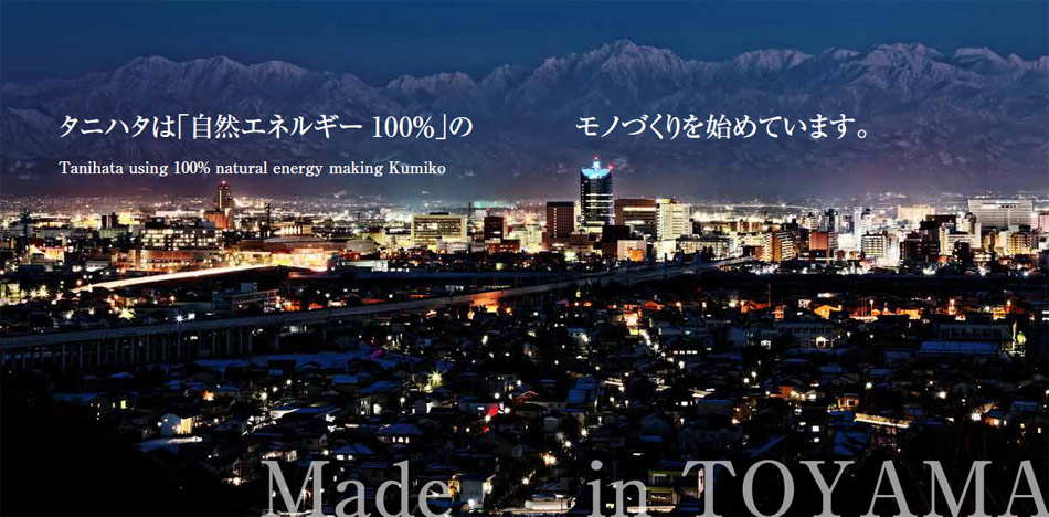 脱炭素社会 再生可能エネルギー 富山県