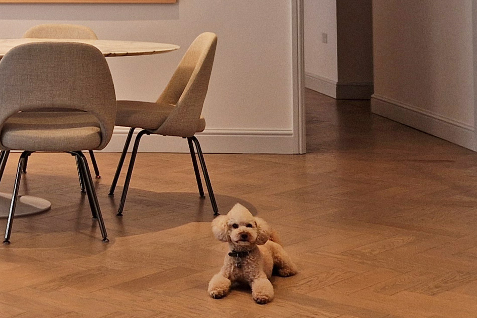 F邸 (ロンドン) 可愛いわんちゃん 組子細工